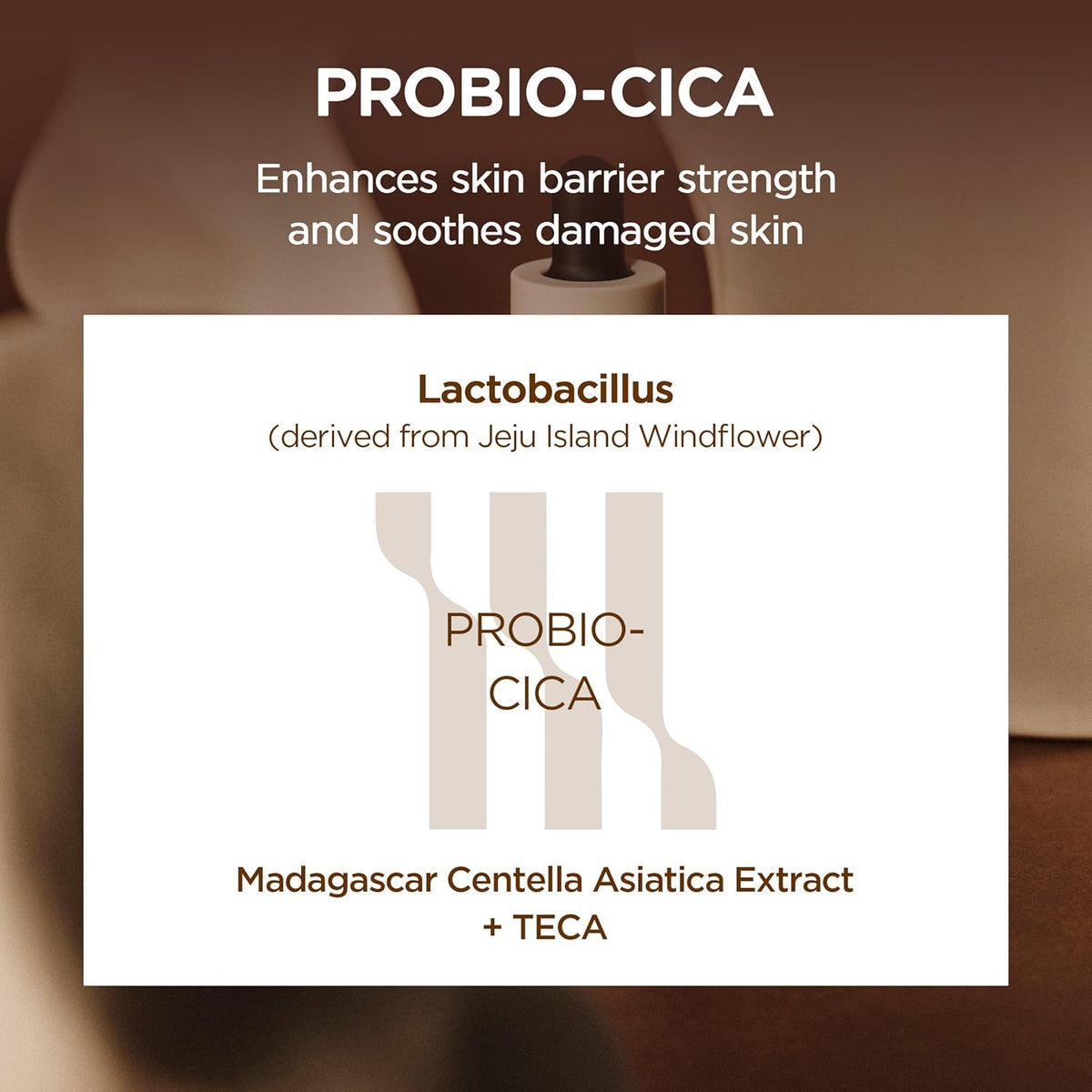 Madagascar Centella Probio Cica Intensive Ampoule 95Ml